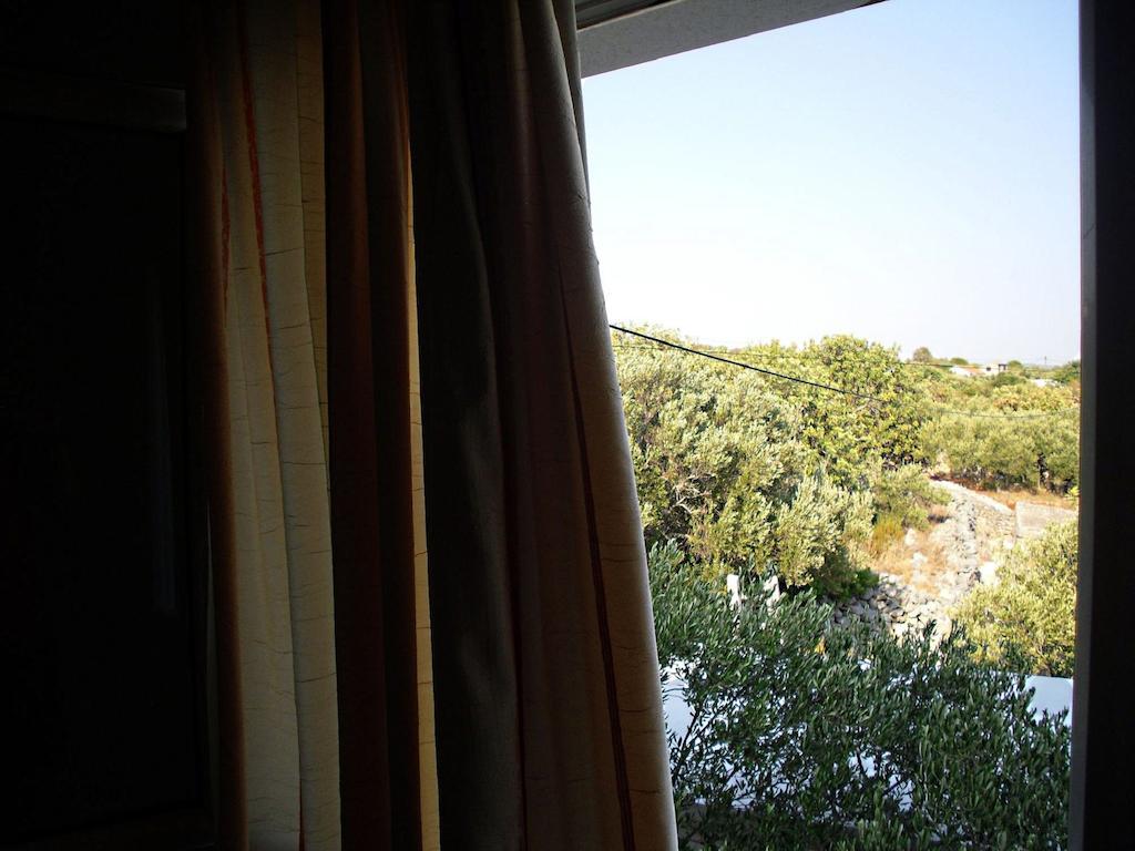 Apartment Ivica 小德尔韦尼克岛 外观 照片